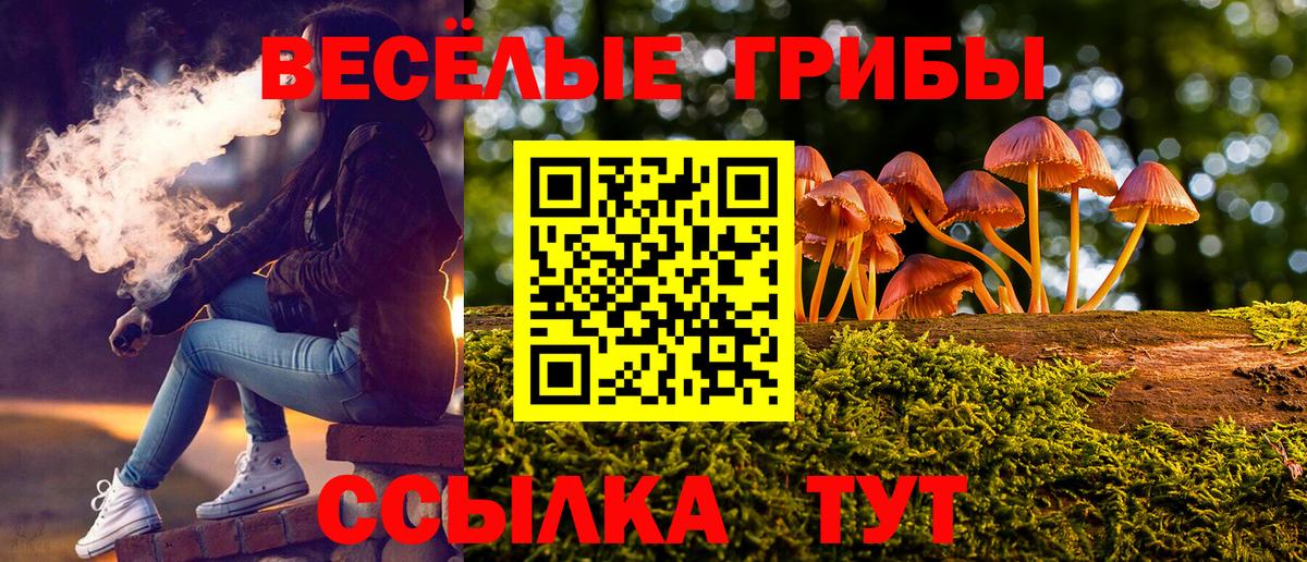Галлюциногенные грибы GOLDEN TEACHER Нерюнгри