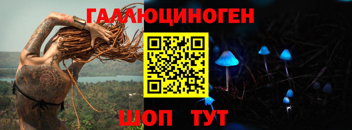 Псилоцибиновые грибы мухоморы  Вход с VPN  Галлюциногенные грибы Cubensis  Нерюнгри 